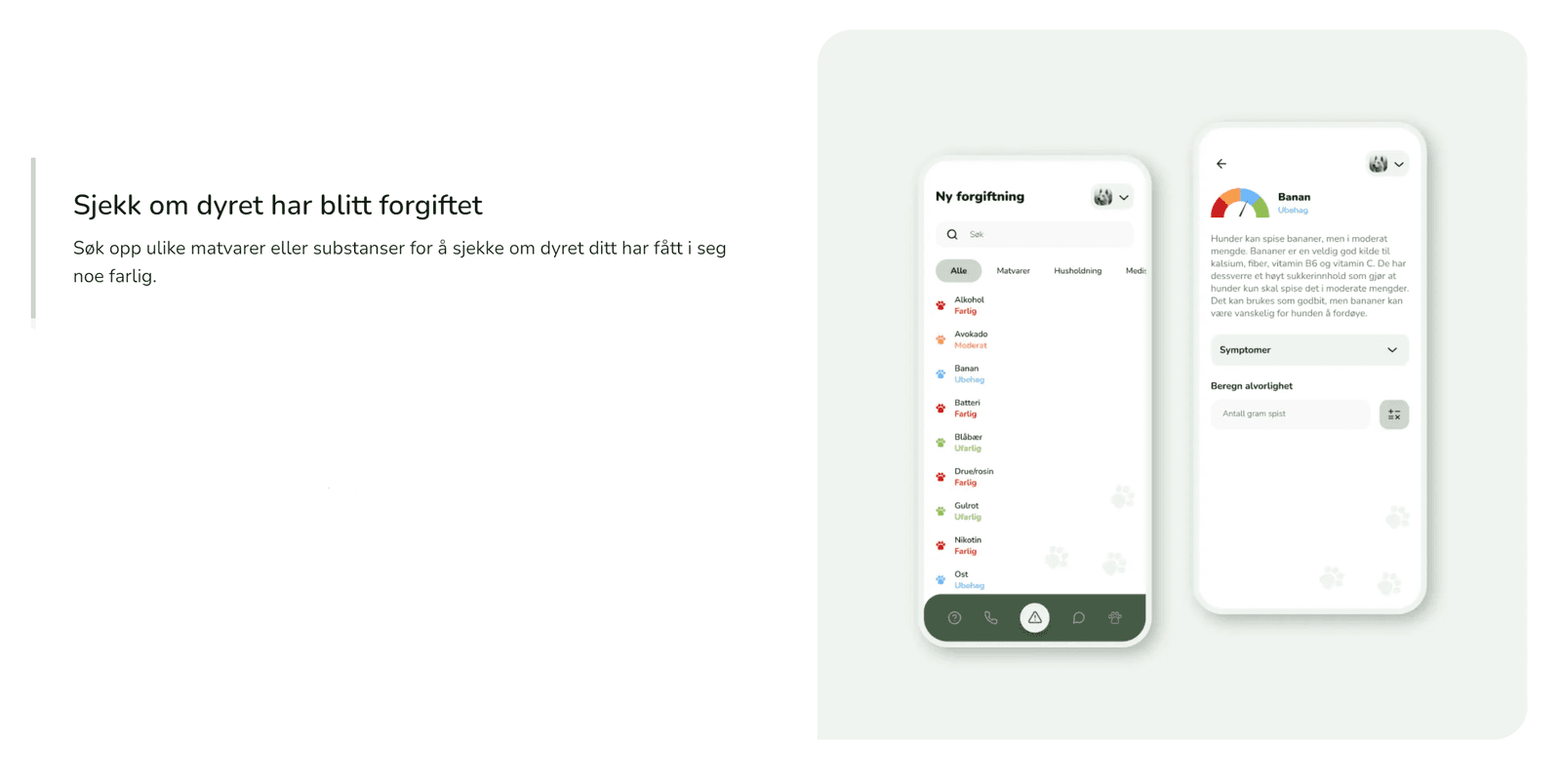 Skjermbilde fra prosjektet Feedoapp - nettside & app