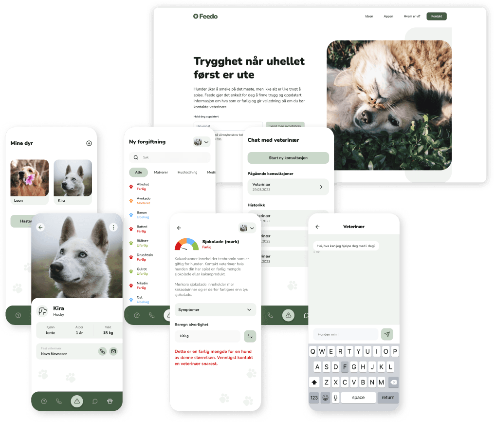 Coverbilde for prosjektet Feedoapp - nettside & app